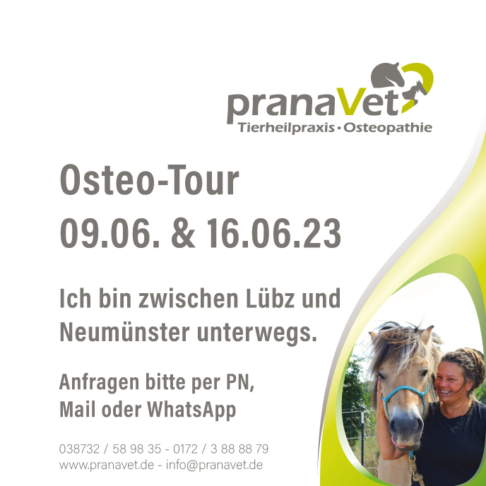 Meiklyn Strandt, pranaVet Pferdeosteopathie, Tierheilpaktiker, Tierheilpraxis, Osteopath für Pferd und Hund